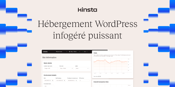 image qui illustre l'hébergement Kinsta Wordpress