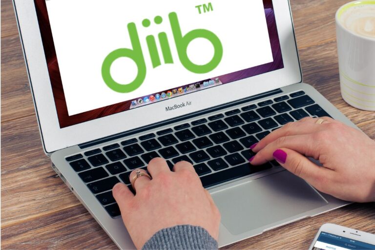 diib outil seo