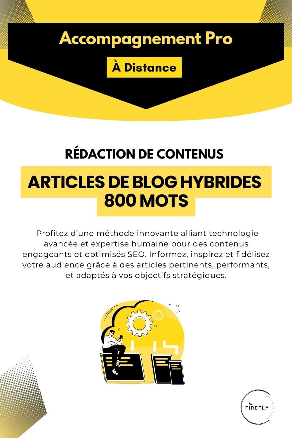 Offre Rédaction de Contenus Articles de Blog HYBRIDES 800 MOTS