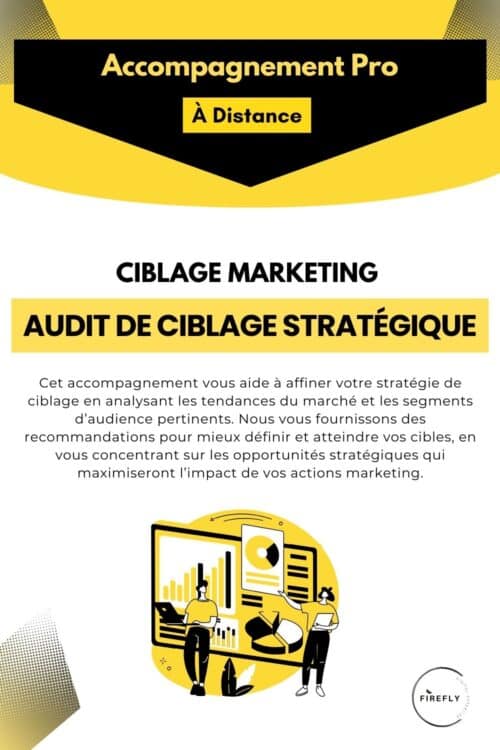offre CIBLAGE MARKETING Audit de Ciblage Stratégique