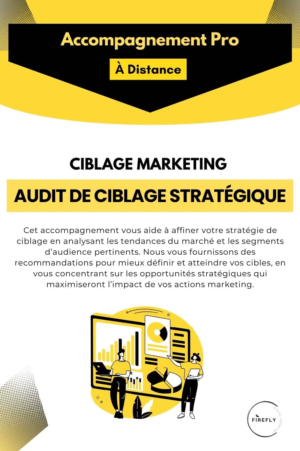 offre CIBLAGE MARKETING Audit de Ciblage Stratégique