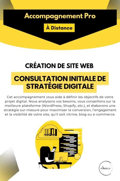 Accompagnement Pro : Consultation Initiale de Stratégie Digitale